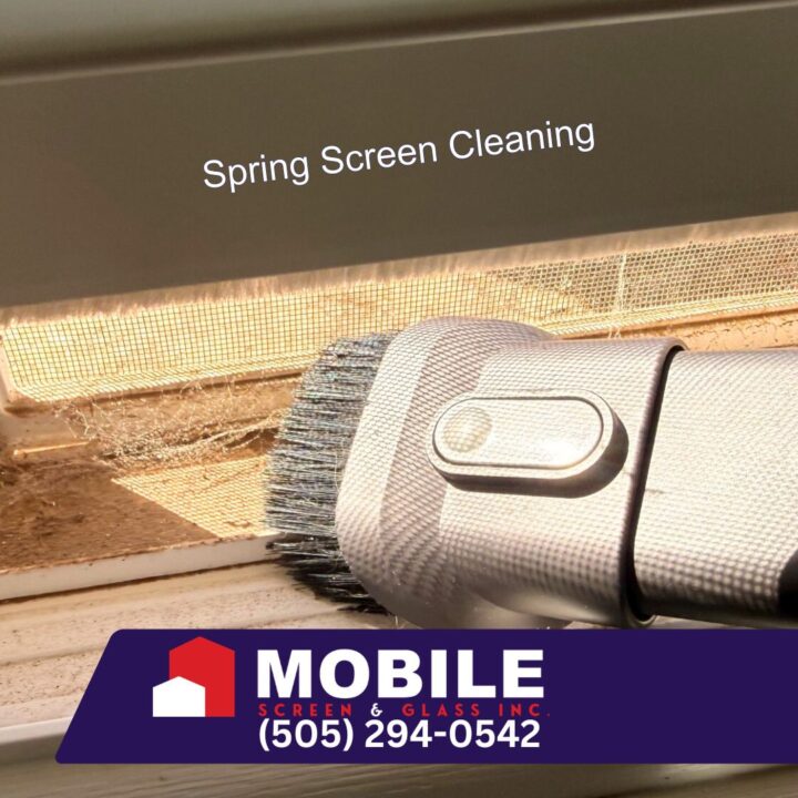 Spring Screen Cleaning