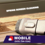 Spring Screen Cleaning